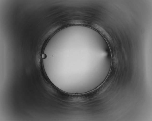 X0000096730533200802191550