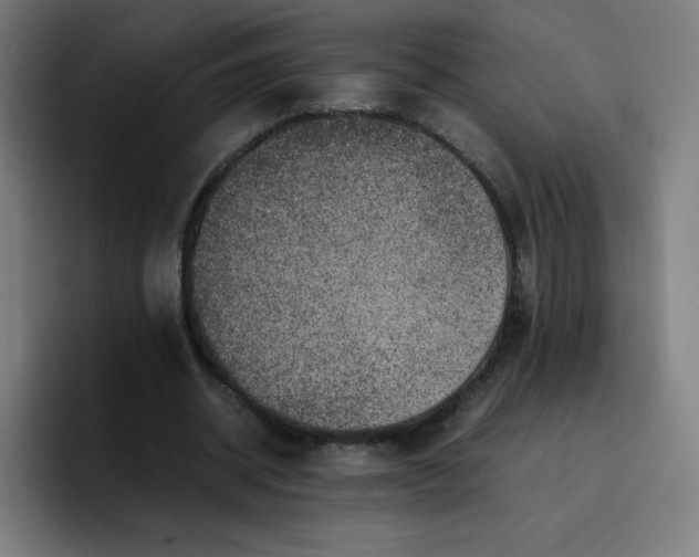 X0000096730534200802191550