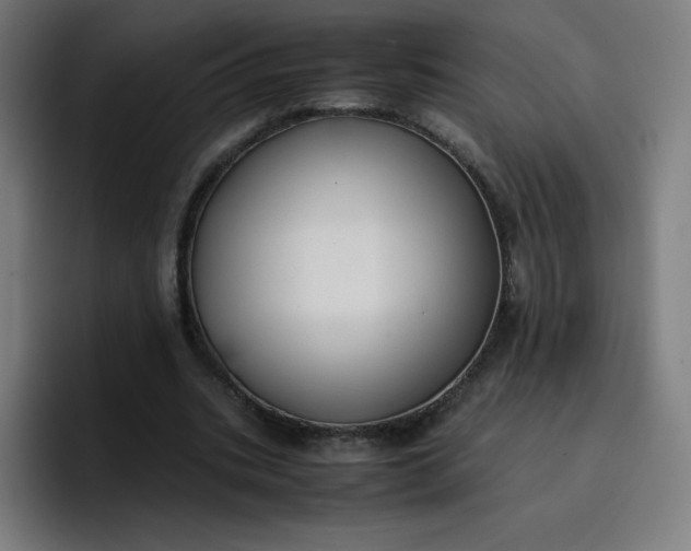 X0000096730535200802191550