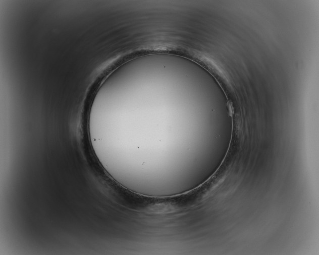 X0000096730536200802191550