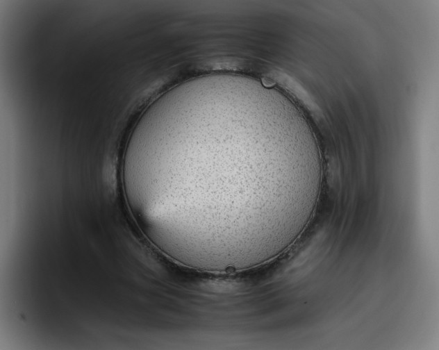 X0000096730537200802191550