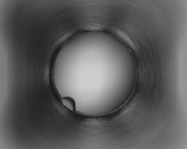 X0000096730538200802191550