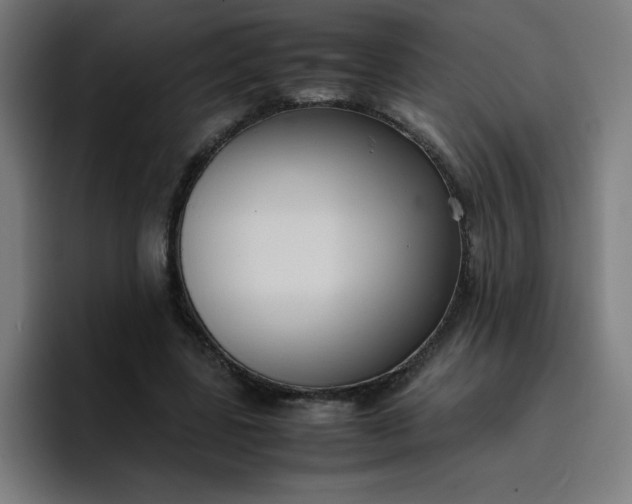 X0000096730539200802191550