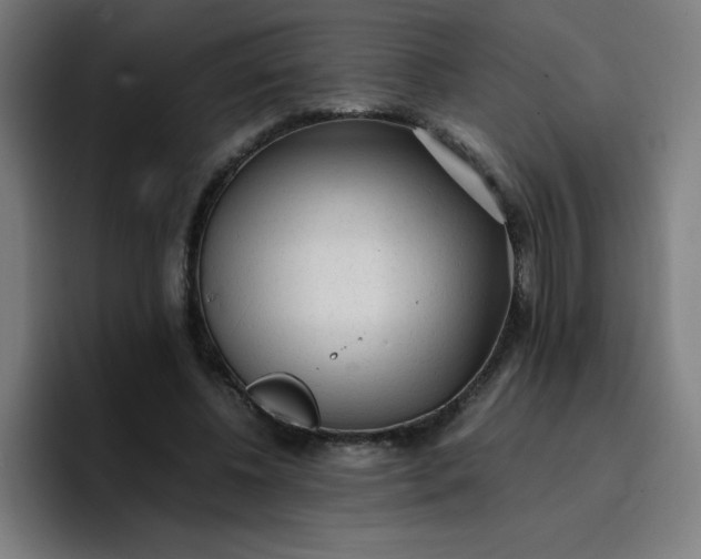 X0000096730540200802191550