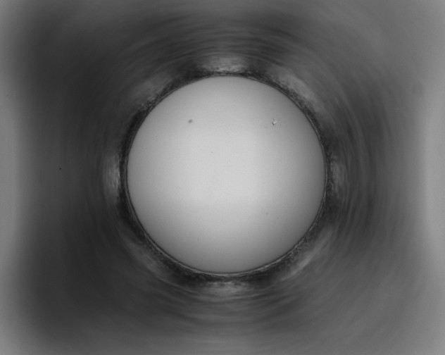 X0000096730541200802191550