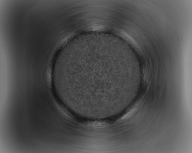 X0000096730542200802191550