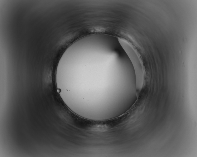 X0000096730543200802191550