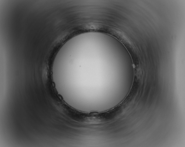 X0000096730544200802191550