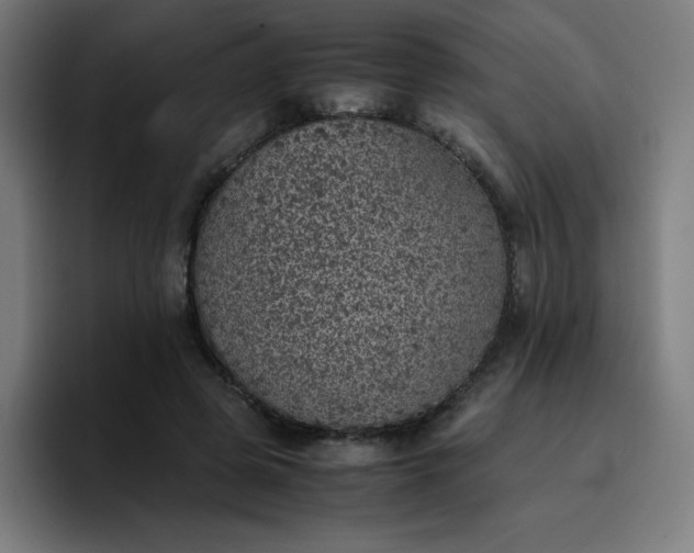 X0000096730545200802191550