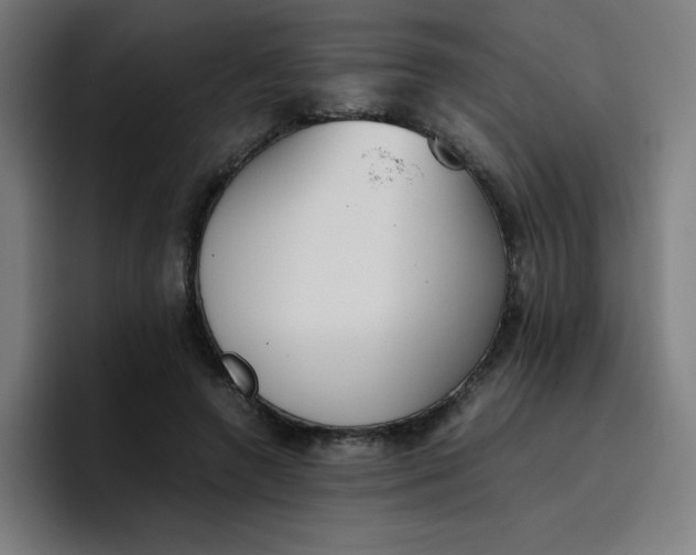 X0000096730546200802191550