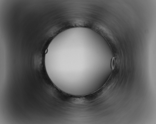 X0000096730548200802191550