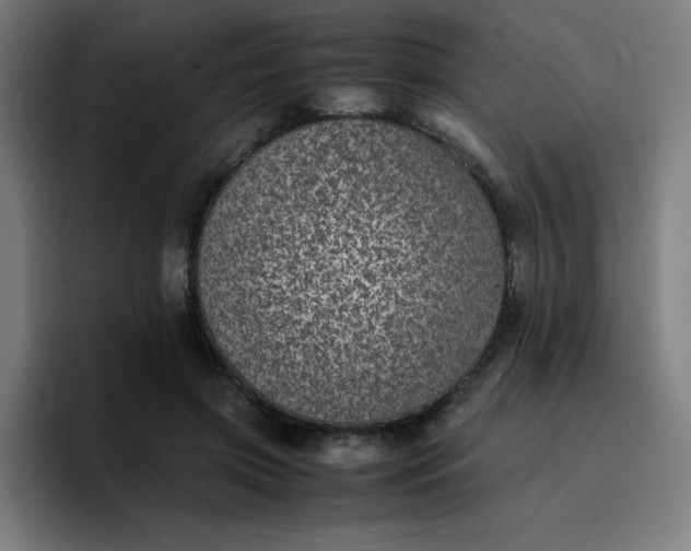 X0000096730549200802191550