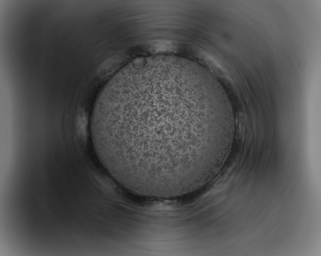 X0000096730550200802191550