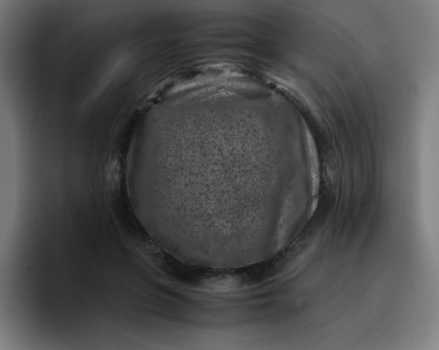 X0000096730551200802191550