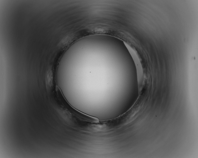 X0000096730552200802191550