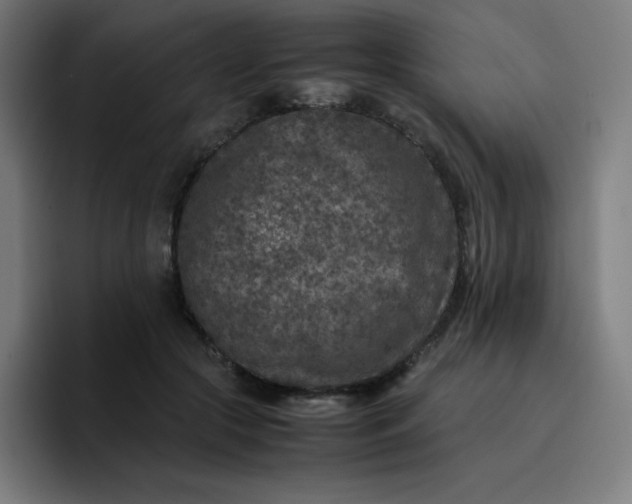 X0000096730553200802191550