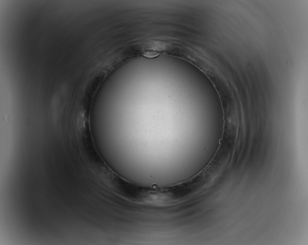 X0000096730555200802191550