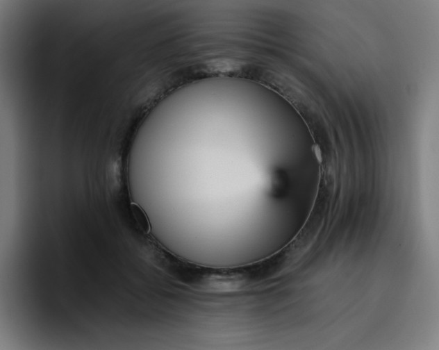 X0000096730556200802191550