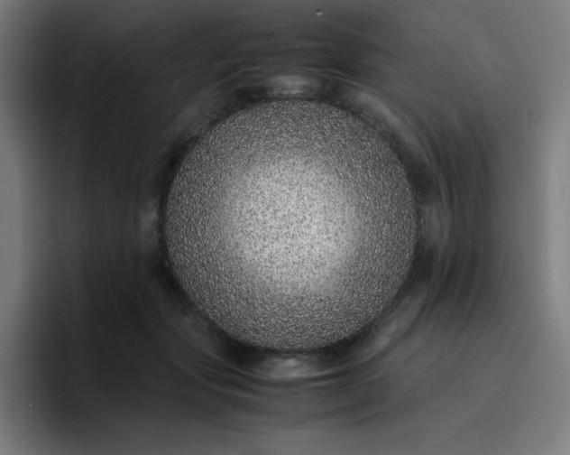 X0000096730557200802191550