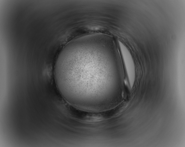 X0000096730559200802191550