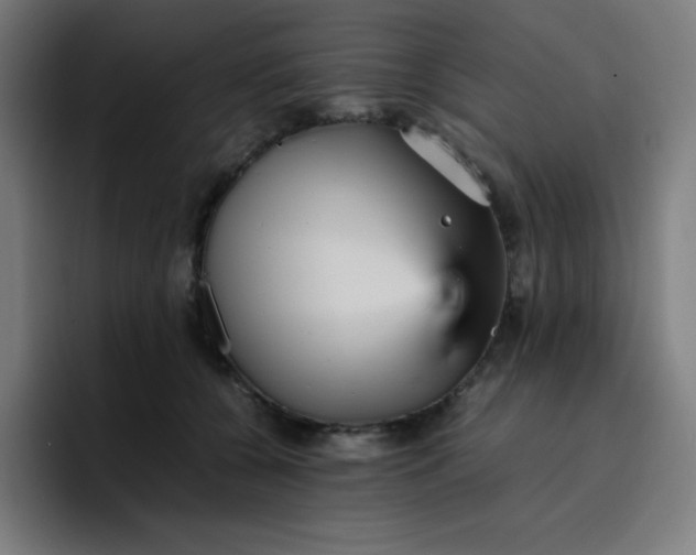 X0000096730560200802191550