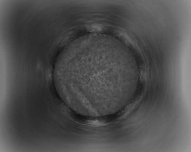 X0000096730561200802191550