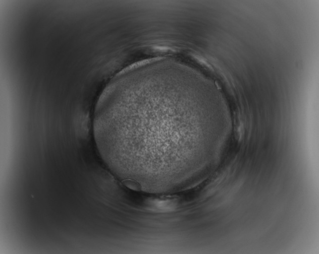 X0000096730563200802191550