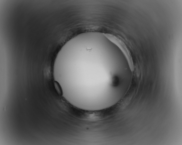 X0000096730564200802191550