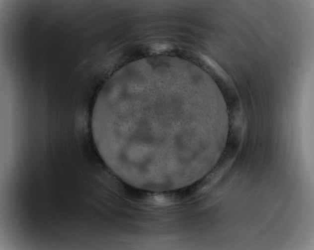 X0000096730565200802191550