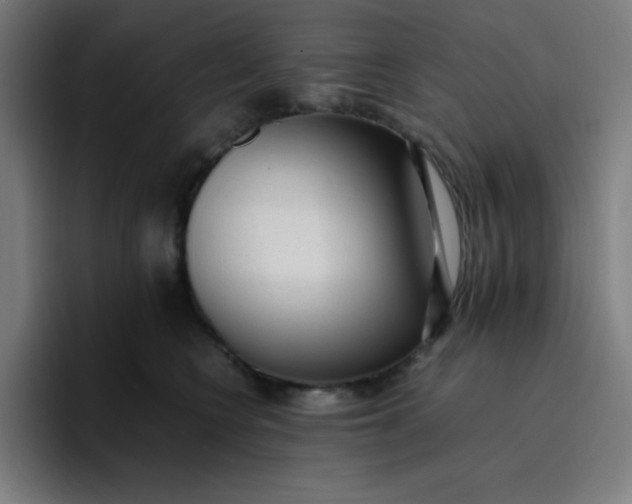 X0000096730566200802191551