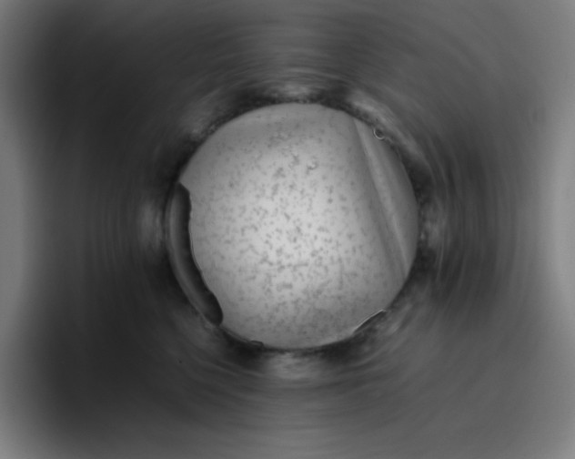 X0000096730568200802191551