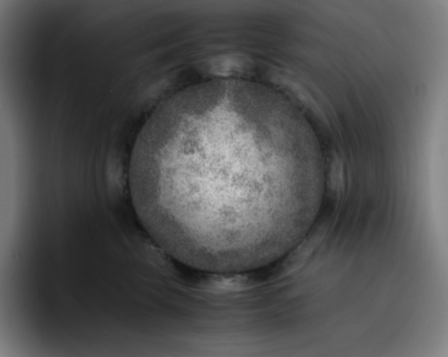 X0000096730569200802191551