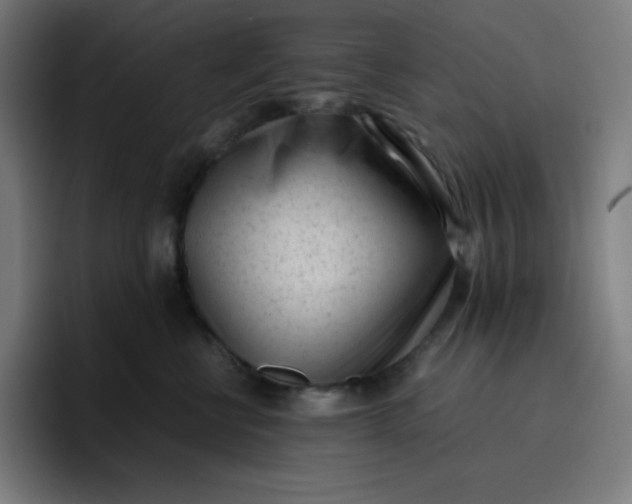 X0000096730570200802191551