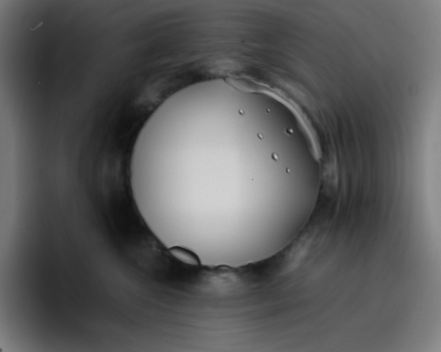 X0000096730572200802191551