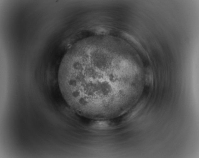 X0000096730573200802191551