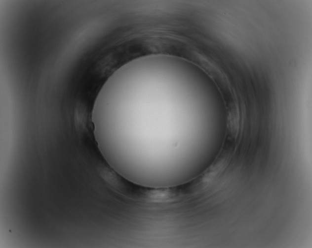 X0000096730574200802191551