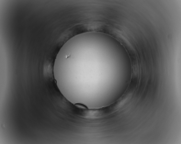 X0000096730575200802191551