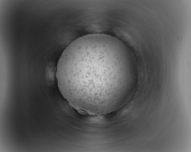 X0000096730576200802191551