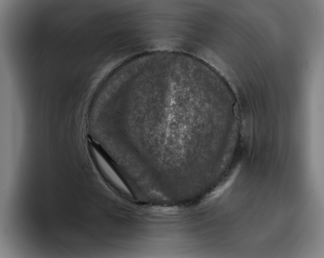 X0000096730577200802191550