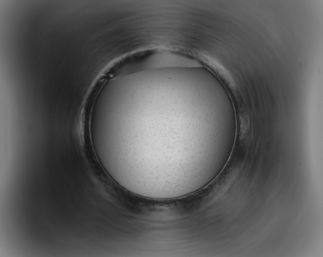 X0000096730580200802191550