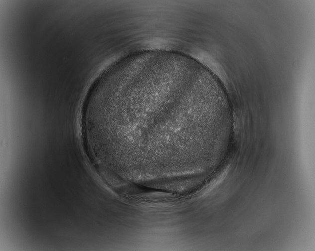 X0000096730581200802191550