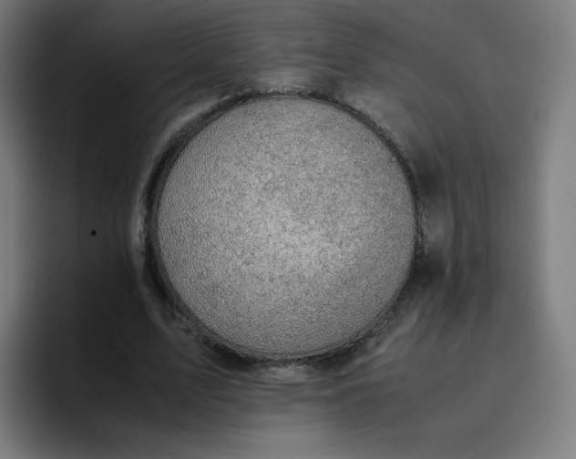 X0000096730583200802191550