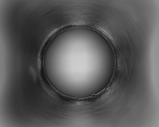 X0000096730584200802191550