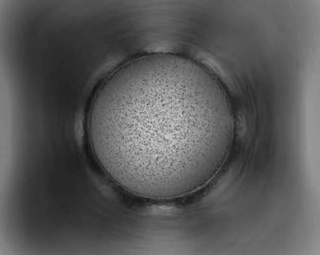 X0000096730586200802191550