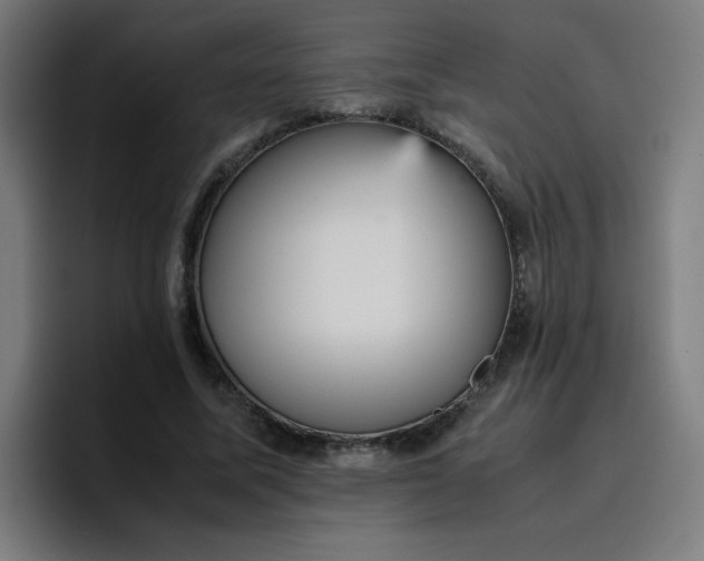 X0000096730587200802191550