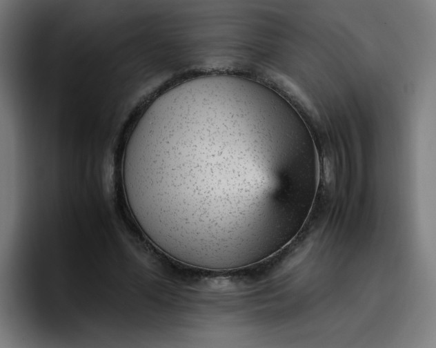 X0000096730588200802191550