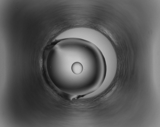 X0000096730589200802191550