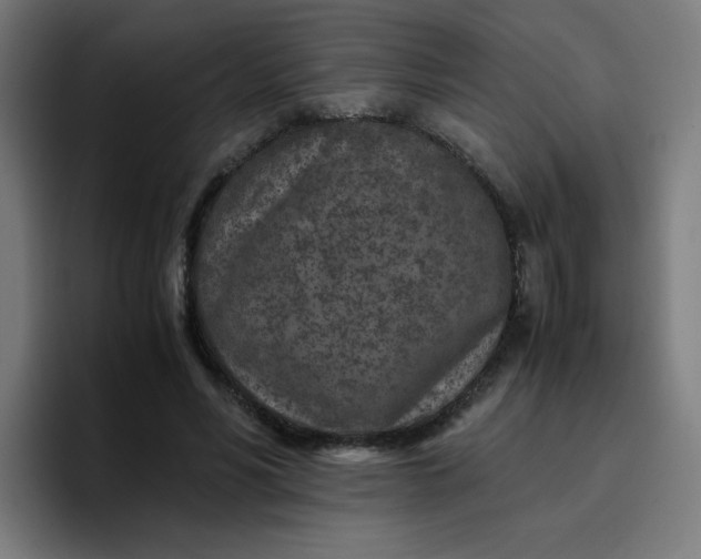 X0000096730590200802191550