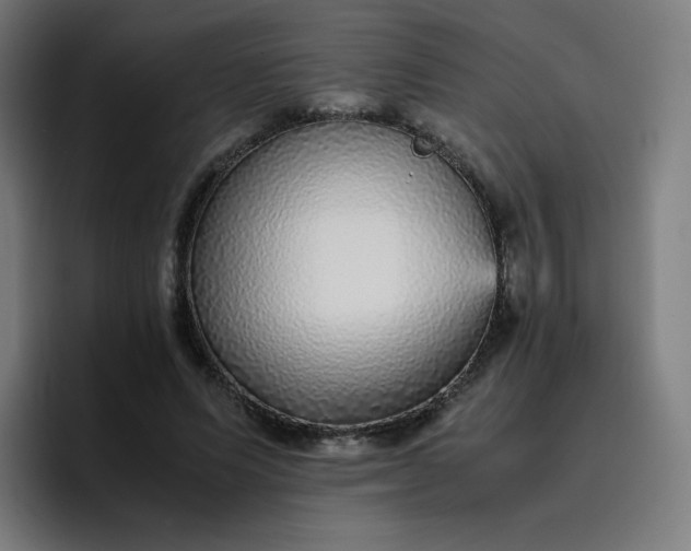 X0000096730591200802191550