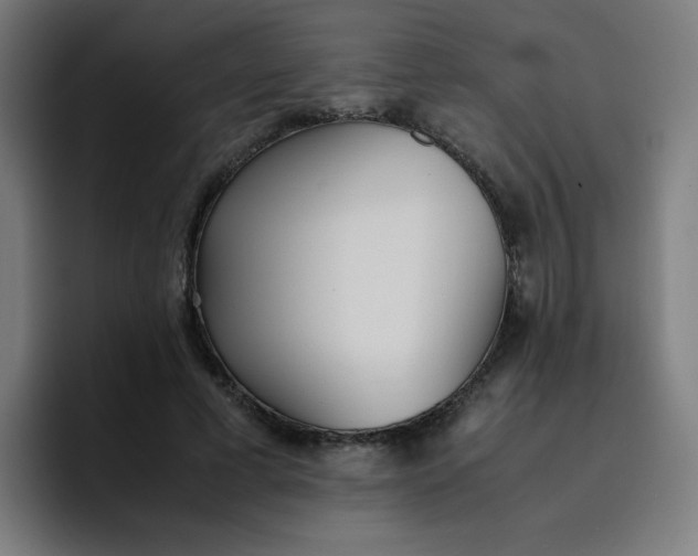 X0000096730593200802191550